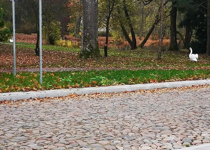 Apartment Botanical Garden *