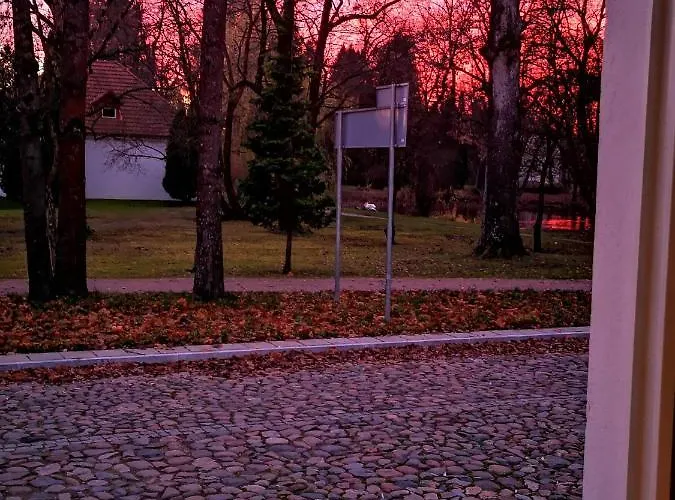 Daire Botanical Garden *